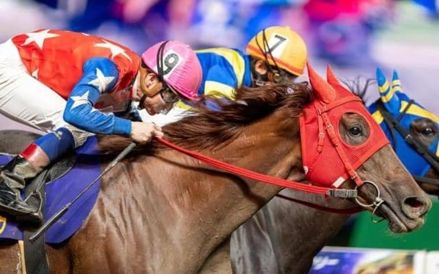 重賞8勝馬スピーディキック、前走で重賞初Vアーテルアストレアなど JBCレディスクラシック選定馬が発表