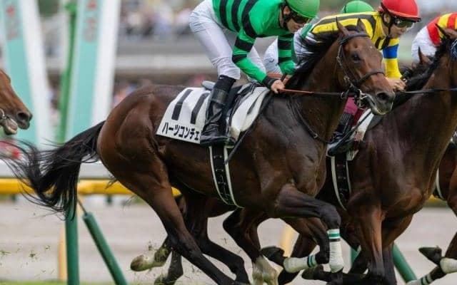 86年以降では初の1勝馬Vなるか ハーツコンチェルトらが菊花賞に挑む