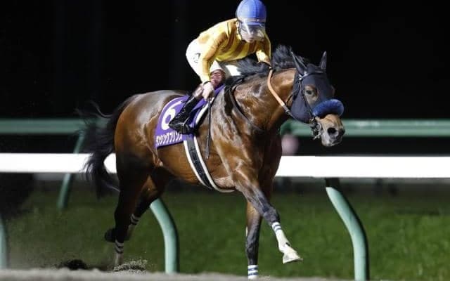 連覇を狙うダンシングプリンス、NAR年度代表馬イグナイターなど JBCスプリント選定馬が発表