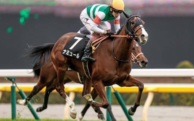 【富士S枠順確定】ナミュールは5枠6番、レッドモンレーヴは7枠9番