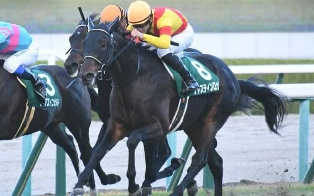 21年京都2歳S覇者ジャスティンロックが抹消 今後は馬事公苑で乗馬に