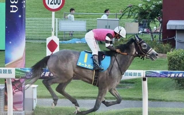 ヌートバーが初勝利 侍ジャパンに負けない活躍に期待