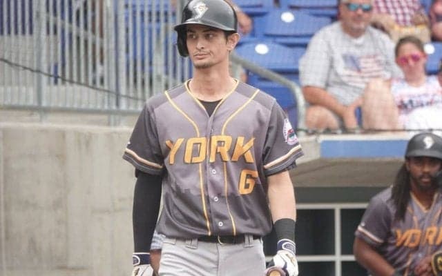 DeNA戦力外から2年…異国で躍動した29歳　GG賞に打率.330…目指すメジャー球団との契約