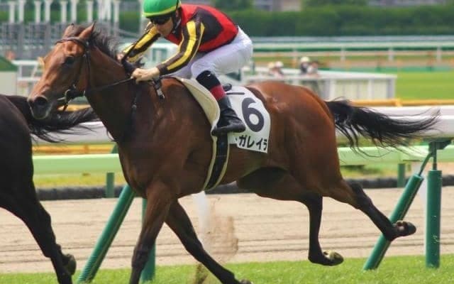 近親ディープのスワーヴリチャード産駒 アイビーSで無傷2連勝狙う