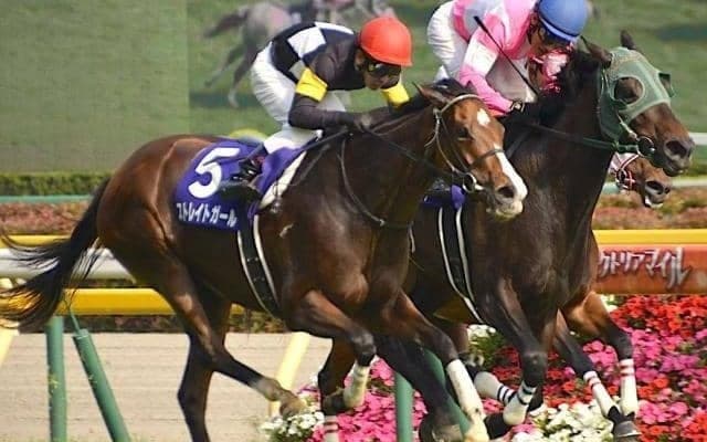 ロードカナロア×ストレイトガール 短距離界の超良血新馬が初陣