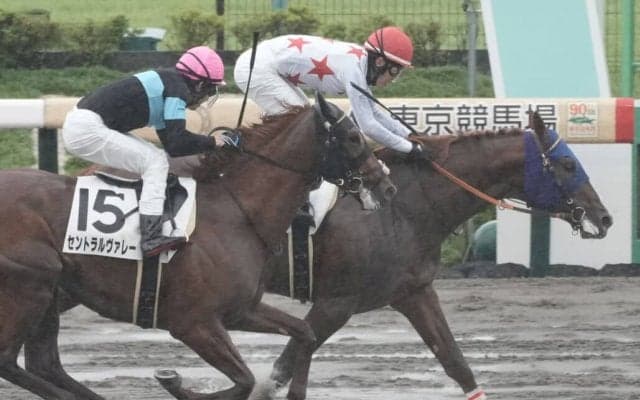 【新馬/東京4R】ミッキーファイトがゴール前のアクシデントを回避して差し切り