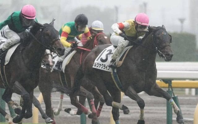 【新馬/東京5R】イスラボニータ産駒 カルツァクラインがデビューV