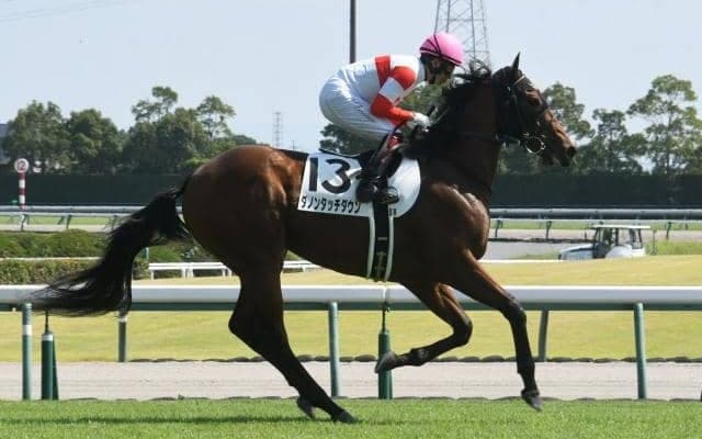 【富士S予想】マイルCSに繋がる重要な前哨戦