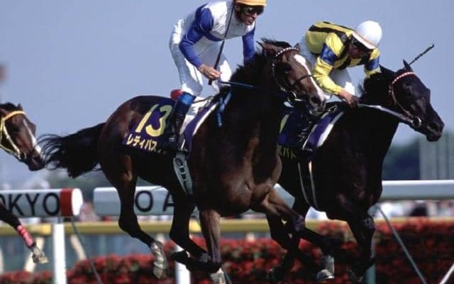 坂路で超好時計 祖母レディパステルの良血牝馬が初陣V狙う