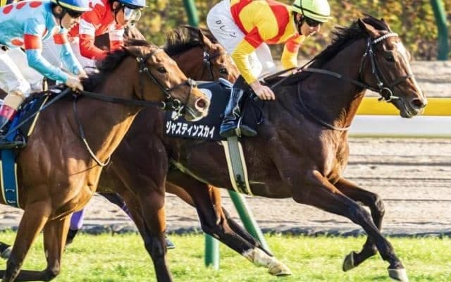 富士Sは“左回り巧者”の激走期待 人気落ちなら絶好の狙い目だ