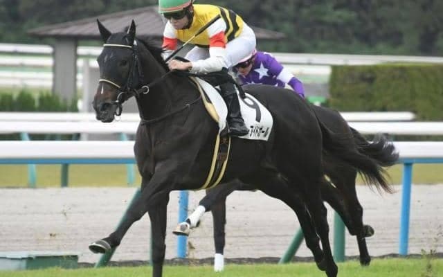 【京都5R新馬戦結果】キタサンブラック産駒のブルーアイドガールが差し切りV！