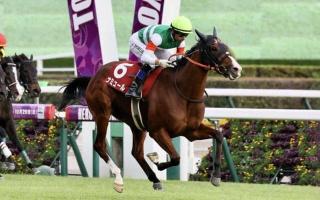 【富士S】モレイラ騎乗、ナミュールが復活V