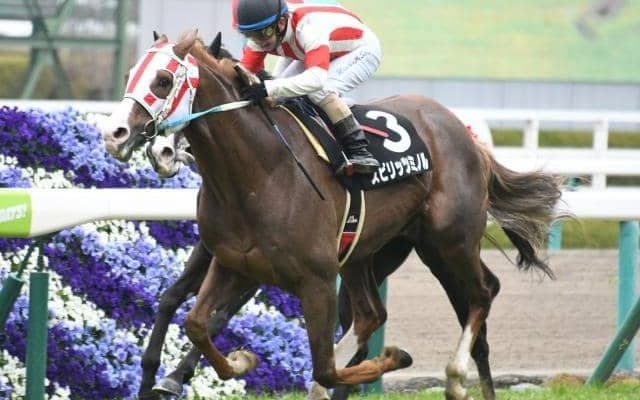 僅か3頭で希少！ 新種牡馬スピリッツミノルの産駒が初出走初勝利なるか