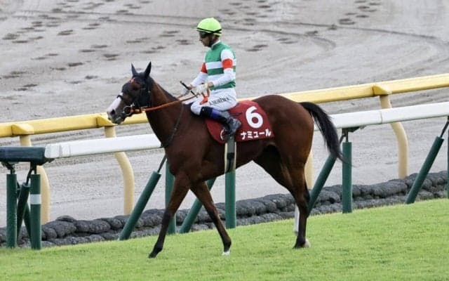 【富士S】モレイラ「余裕があった」ナミュールが重賞2勝目
