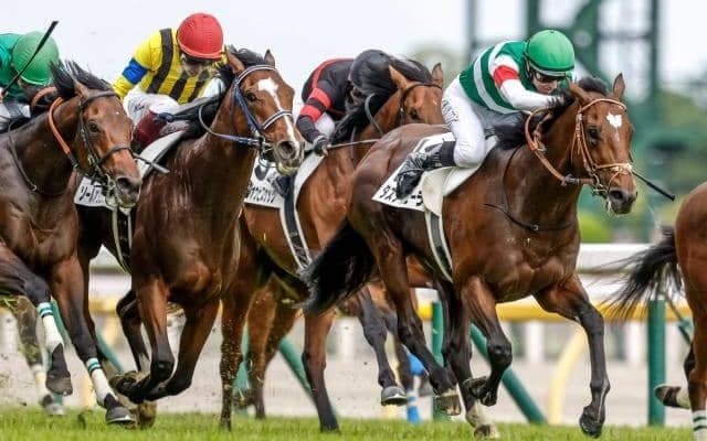 【今日の注目ポイント】京都でクラシック最終戦・菊花賞