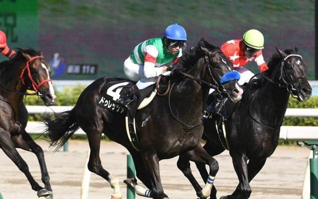 菊花賞で台頭する伏兵のタイプは決まっている　過去データから導いた穴馬候補３頭