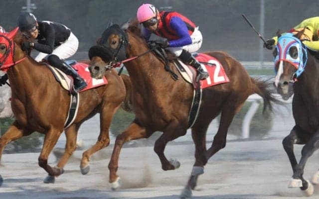 【高知・レッドファルクス賞】単勝1.0倍アポロティアモが辛勝…吉原「苦しい展開でも勝ちきれた」