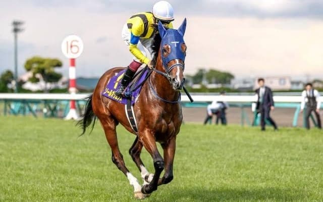 【菊花賞予想】淀の舞台に戻ってきたクラシック最終戦