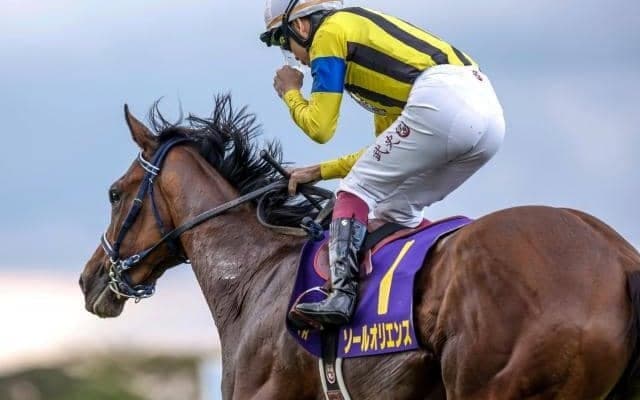 【菊花賞予想】上位人気3頭ボックス馬連に妙味なし？ 狙うべき3着候補人気薄馬の共通点とは!?