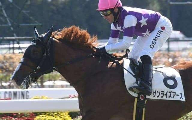 【京都5R新馬戦結果】レイデオロ産駒サンライズアースが押し切りV