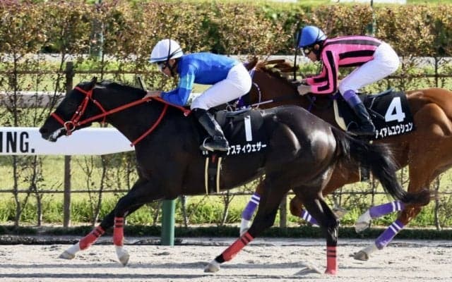 【なでしこ賞】ナスティウェザーがV…岩田望はJRA通算400勝達成