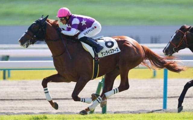 【新馬/京都5R】レイデオロ産駒 サンライズアースがデビューV…シュクルノアールは競走中止
