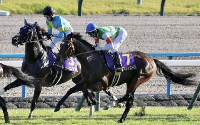 【菊花賞】モレイラ「勝ち馬が強かった」レース後ジョッキーコメント