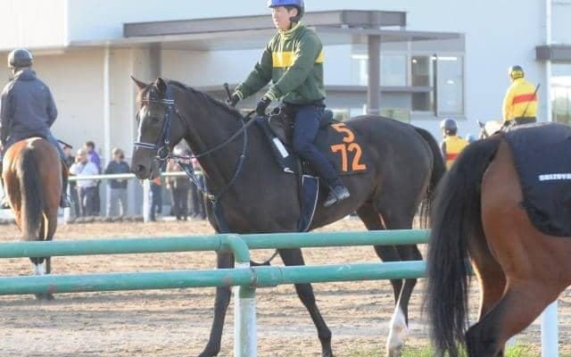 年度代表馬リスグラシューの近親 ジオセントリックが初陣/関東馬メイクデビュー情報