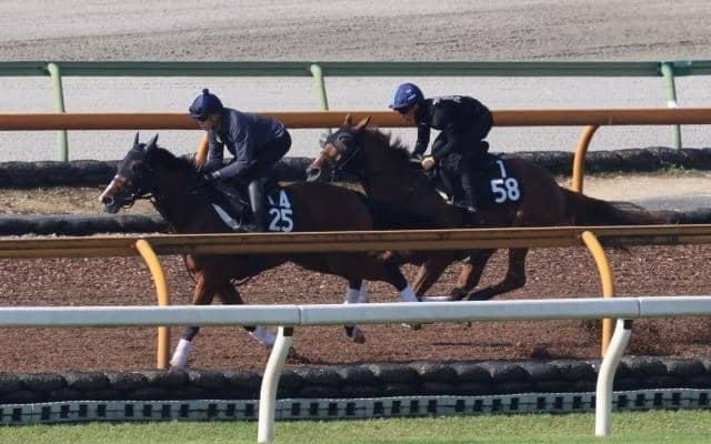 半兄にダートGIで活躍のテーオーケインズ 砂の良血が東京で初陣/関西馬メイクデビュー情報