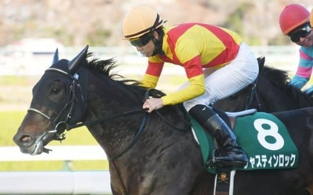 【先週のJRA抹消馬】21年の京都2歳Sを制したジャスティンロック、熊本県産馬ヒノクニなど