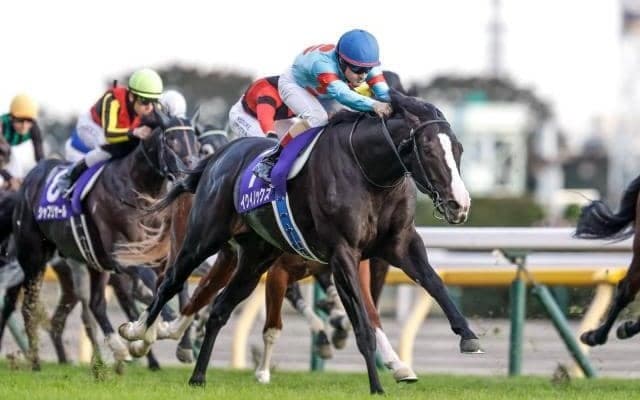 【天皇賞(秋)想定騎手】イクイノックスはC.ルメール騎手、ドウデュースは武豊騎手など13頭