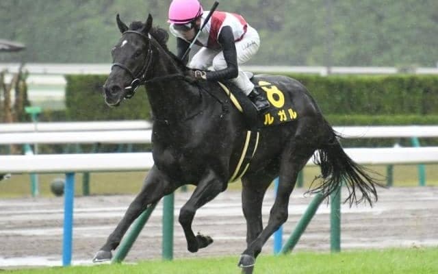 【スワンS想定騎手】ルガルは武豊騎手、グレナディアガーズは岩田望来騎手