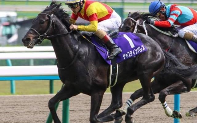 史上2頭目の異なる騎手で“連覇”へ 天皇賞(春)覇者が横山武史騎手との初コンビ