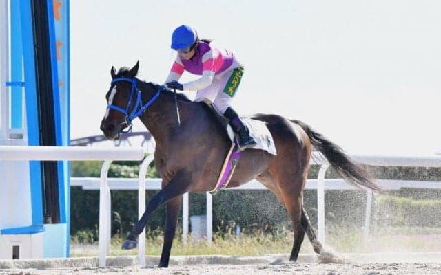 【笠松7R】宮下瞳とのコンビで、オマタセシマシタが逃げ切りV…ジャンポケ斉藤愛馬