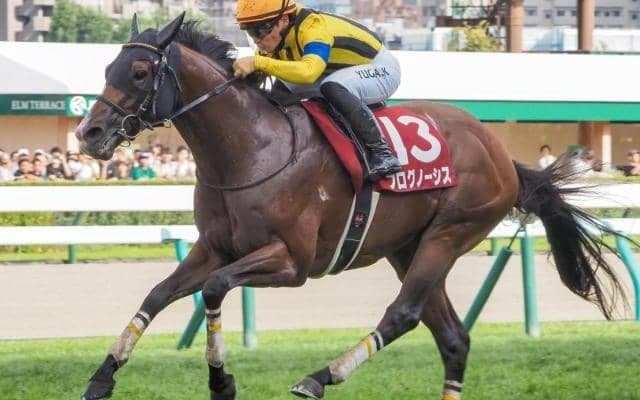 阪神、WBC、ラグビーW杯 スポーツ界の出来事から導かれた天皇賞(秋)“不動の本命”とは？