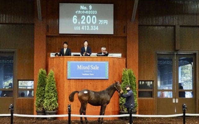 【ミックスセール2023】キングマン産駒が6200万円で落札
