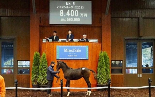 【ミックスセール2023】ファインルージュ半弟が8400万円で落札