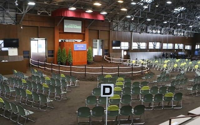 【ミックスセール2023】当歳セッションは総額15億2800万円 最高額はファインルージュ半弟に8400万円