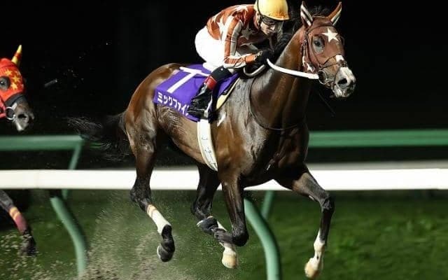 7連勝中の無敗三冠馬ミックファイア 選出済みのJBCクラシックを回避