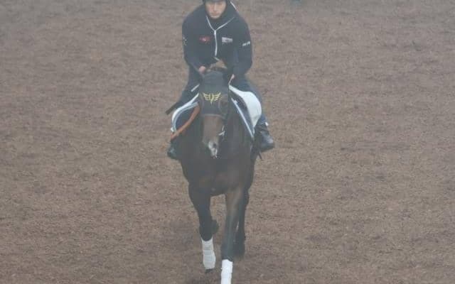 ミッキーゴージャスなど、先週の入厩情報/栗東トレセンニュース