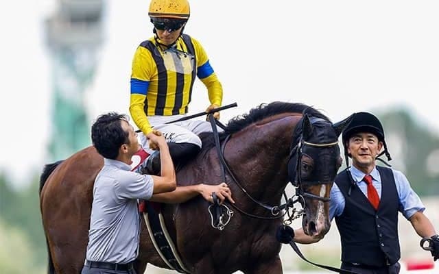 6戦6勝の川田騎手とコンビ 遅れてきた大物が天皇賞(秋)でGI獲りへ