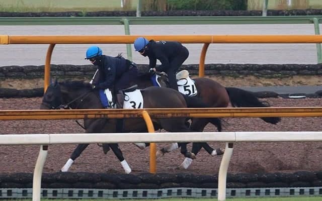 アスクドゥラメンテ、みやこS1週前追い切り速報/栗東トレセンニュース