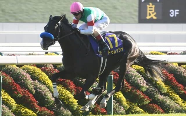 【香港ヴァーズ】日本馬32頭が登録 ドゥレッツァ、タスティエーラ、ジャスティンパレスなど