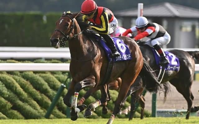 【香港カップ】日本馬30頭が登録 リバティアイランド、ドウデュース、ジャックドールなど