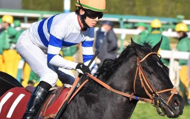 09年以来の“高齢馬V”はあるか 重賞3勝の実力持つ7歳馬が天皇賞(秋)に参戦