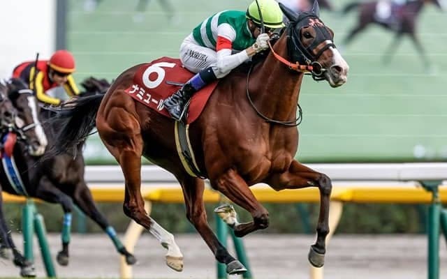 【香港マイル】日本馬25頭が登録 ナミュール、セリフォス、ソウルラッシュなど