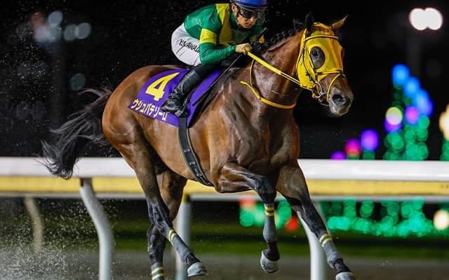 米ブリーダーズカップ出走予定の日本馬9頭が現地到着 各陣営がコメント