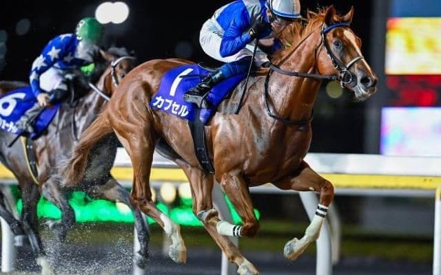 【船橋・平和賞結果】カプセルが逃げ切りV！道営所属馬が上位独占