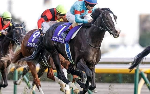 【天皇賞(秋)展望】中距離チャンピオン決定戦、イクイノックスの連覇に期待したい