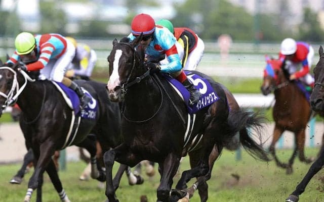 天皇賞・秋「世界No.１ホース」イクイノックスに死角はあるか、あえて探ってみた